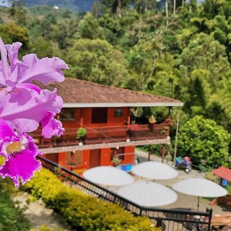 Hotel Orillas Del Pizano Jardin Luaran gambar