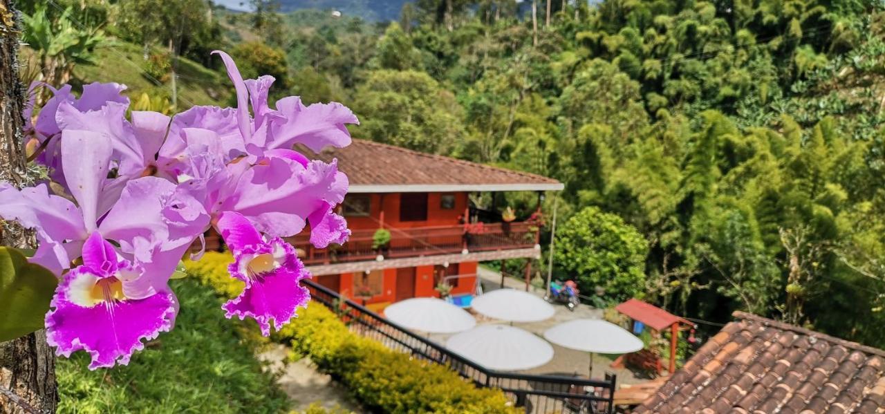 Hotel Orillas Del Pizano Jardin Luaran gambar