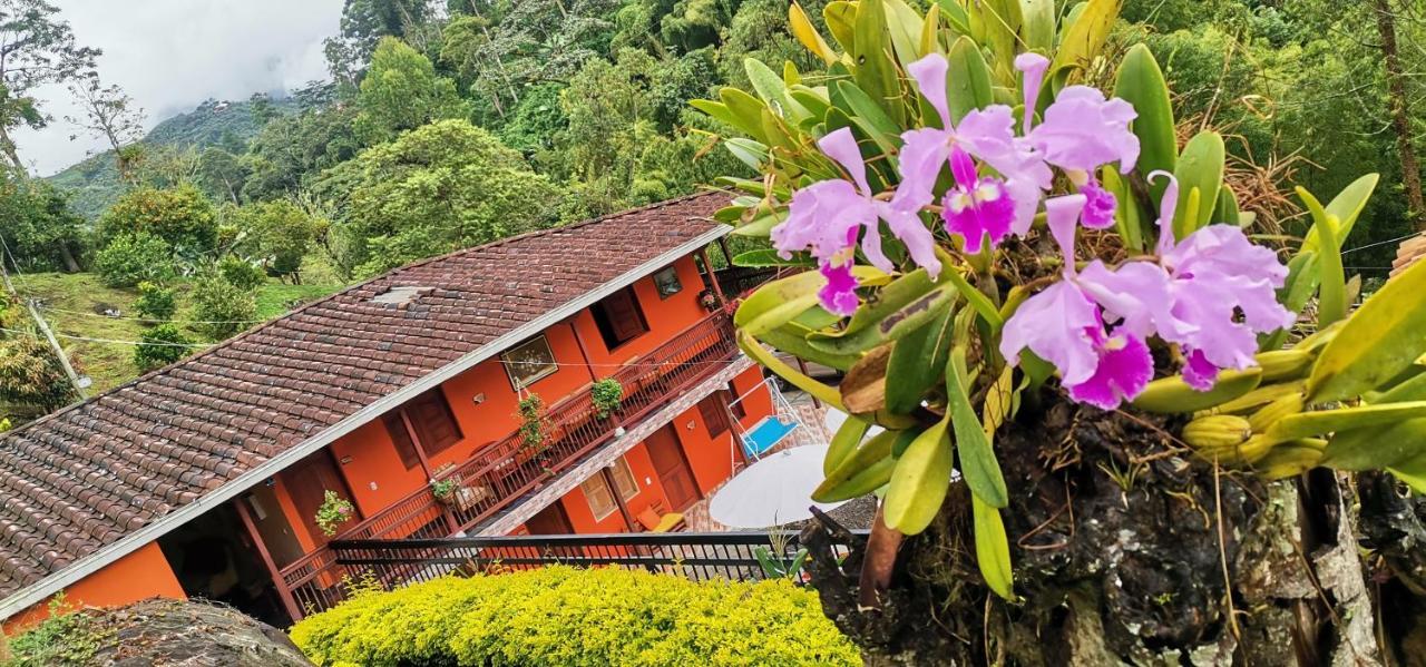 Hotel Orillas Del Pizano Jardin Luaran gambar